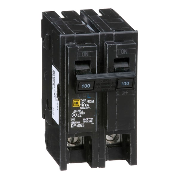 Miniature Circuit Breaker, HOM Series, 100A, 2 Pole, 120/240V AC, 10kA